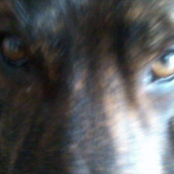 Meet your Posher, Scott - Picture 1 of 1